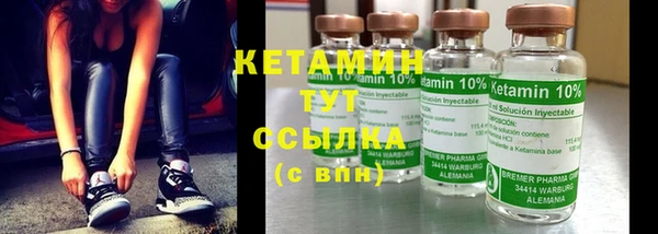 крисы Богородицк