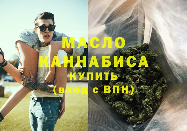 крисы Богородицк