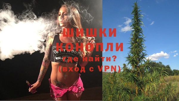 сатива Богданович