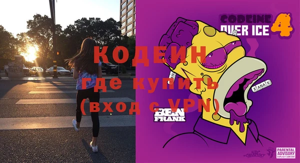 крисы Богородицк