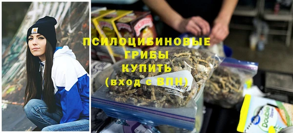 крисы Богородицк