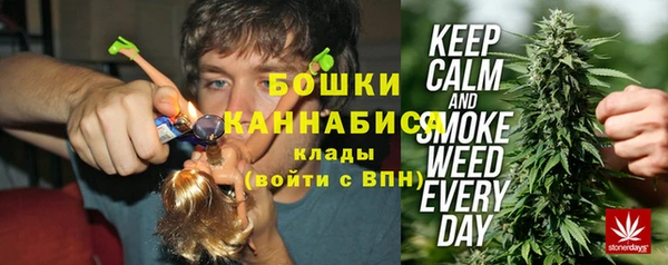 крисы Богородск