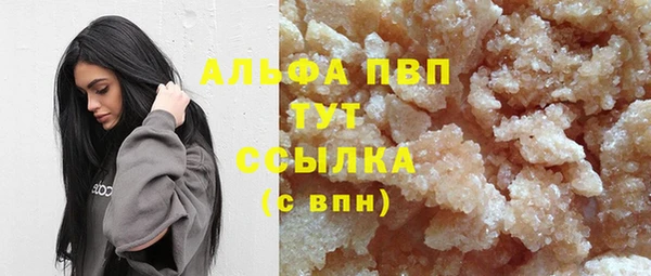 сатива Богданович