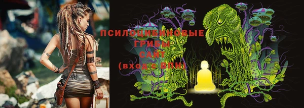 крисы Богородицк
