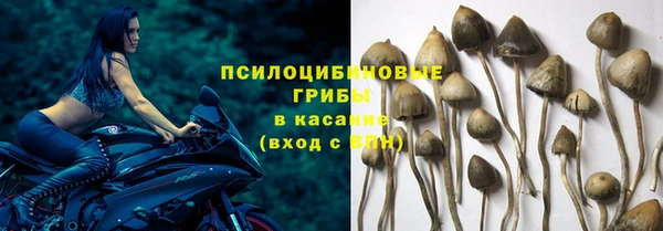 крисы Богородск