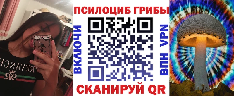 Купить закладки  Новый Оскол  Галлюциногенные грибы Psilocybine cubensis 